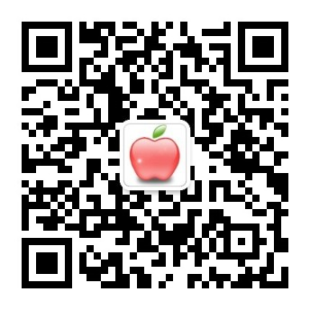 bob·综合体育app入口